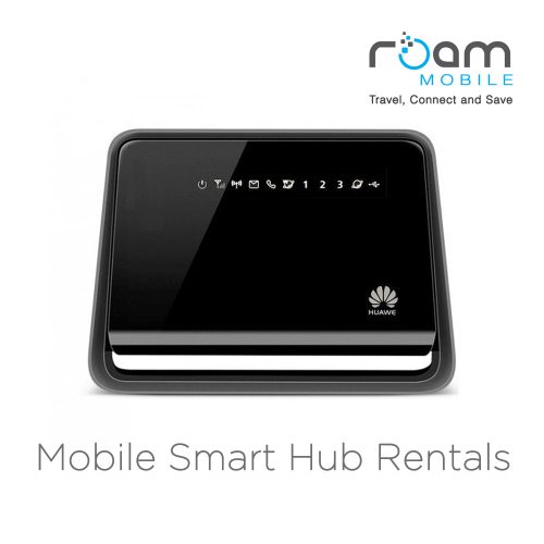 roam portable internet